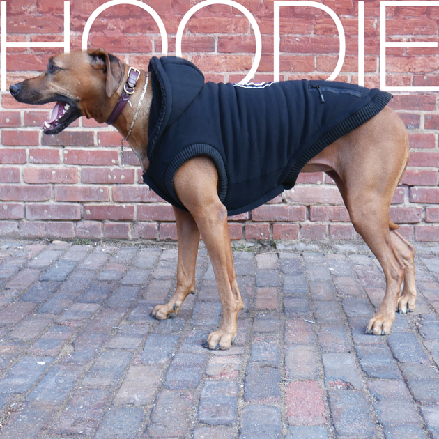 Dog Sweater – DOGORA