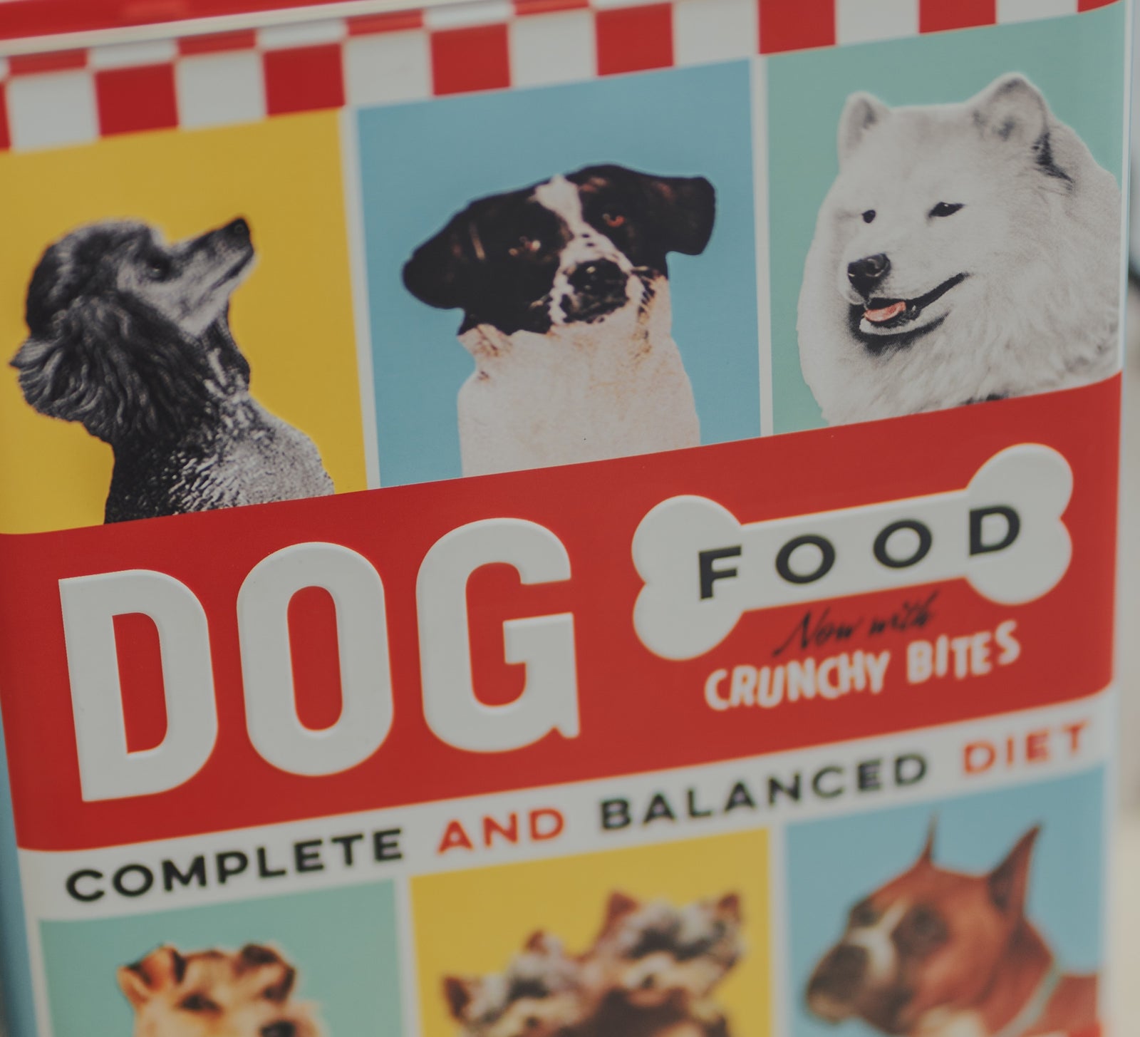 8 Foods You Should Never Give Your Dog