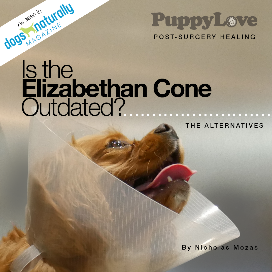 Is the Elizabethan Cone Outdated?