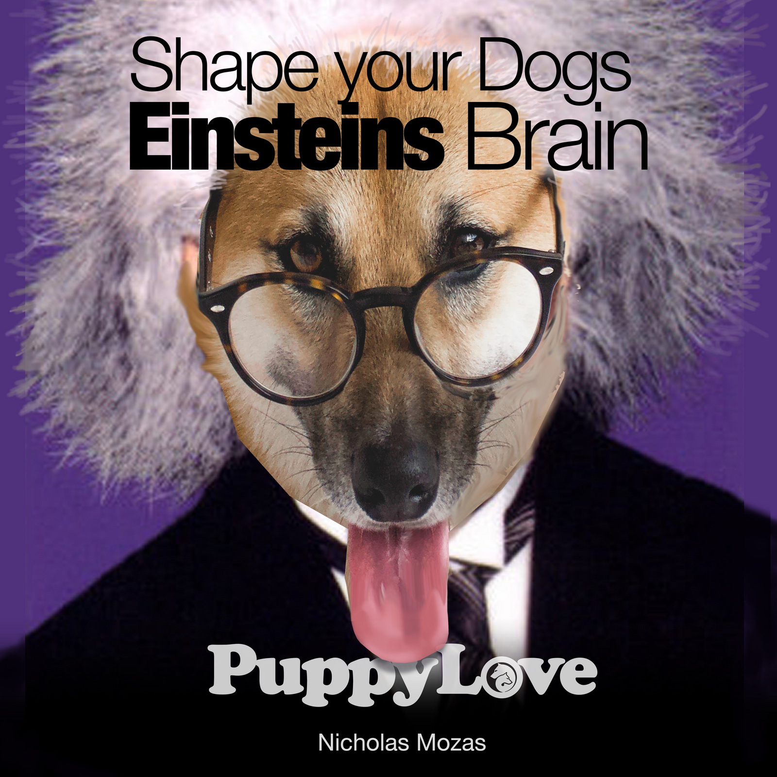 Shape you Dogs Einstein Brain