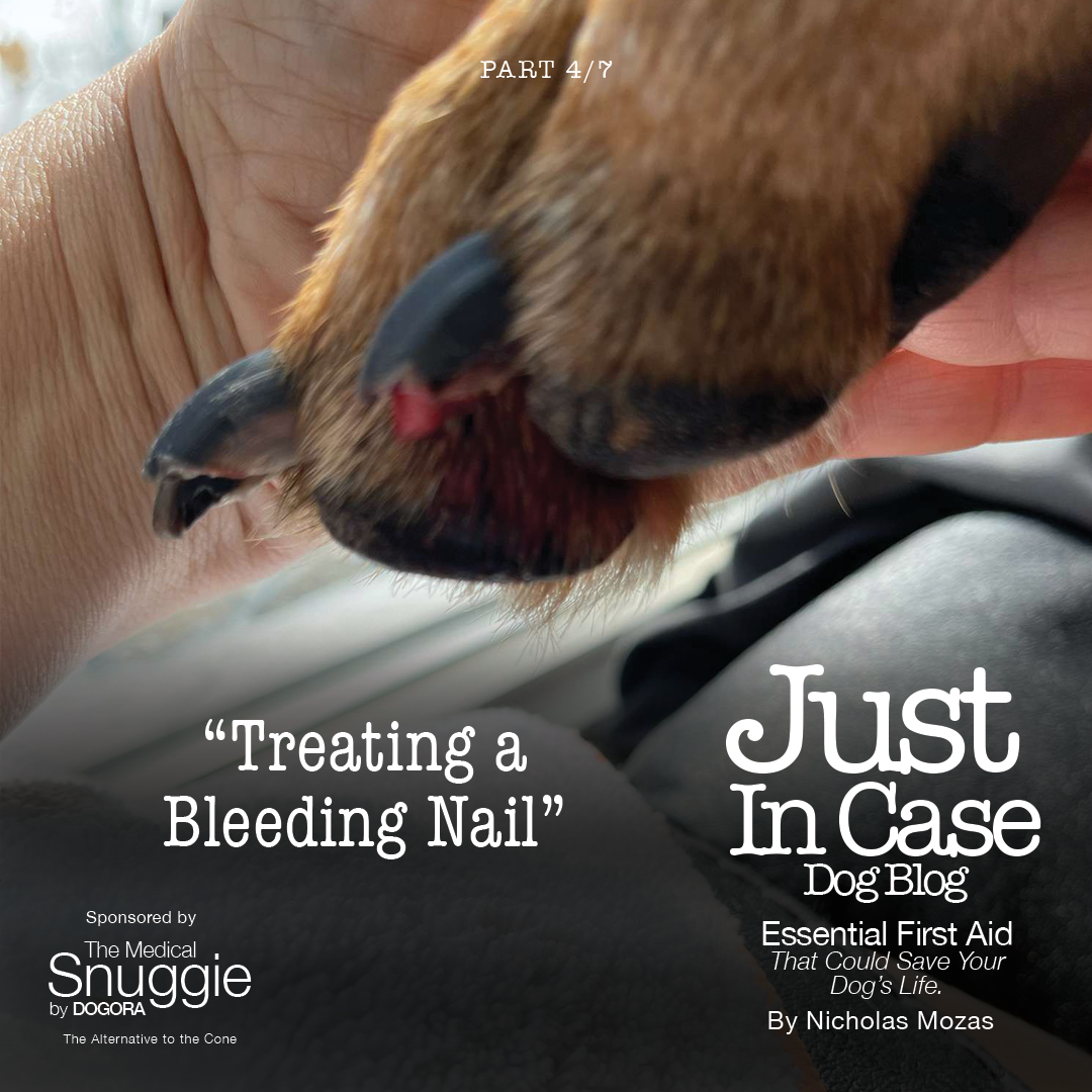 Treating a Bleeding Nail & Ear Laceration