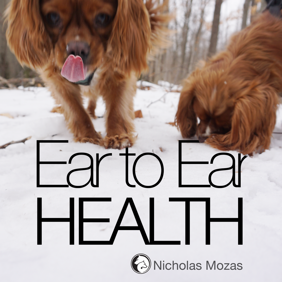 Ear to Ear Health