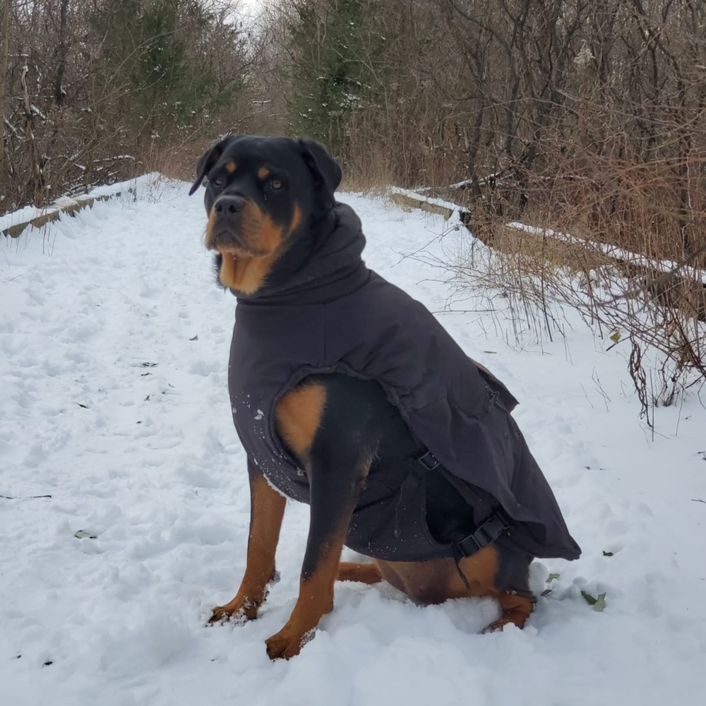 3 Season Heated Coat